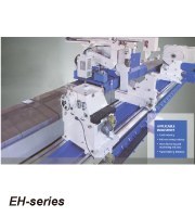 रोल ग्राइंडर/क्रैंकशाफ्ट ग्राइंडर EH100, EH125, EH160, EH200, EH250, EH300